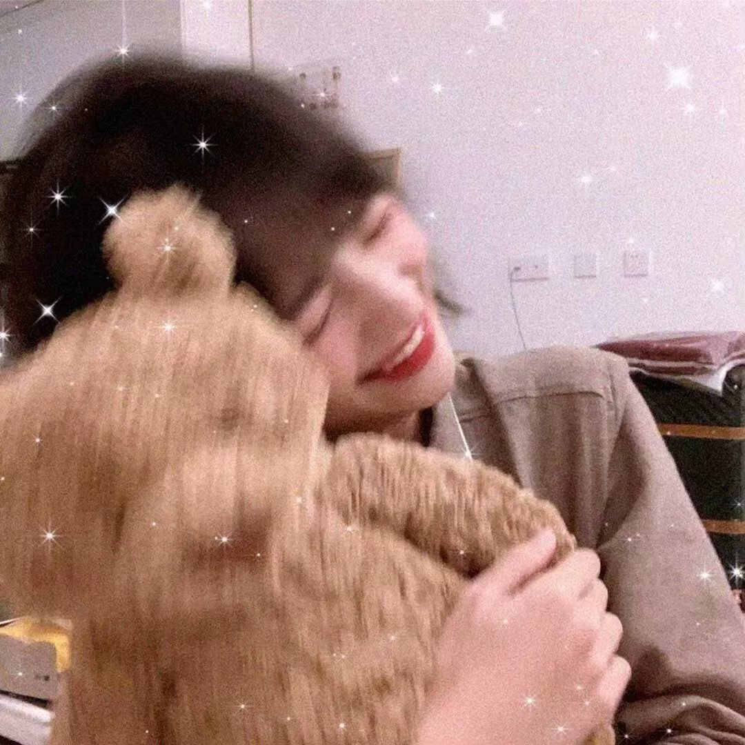 明星伙伴 第四季